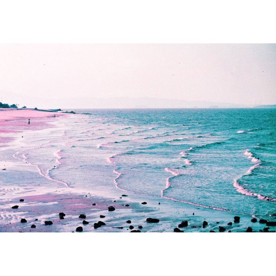 Filme fotográfico 35mm Lomography LomoChrome Purple Petillant ISO 100-400 36 poses