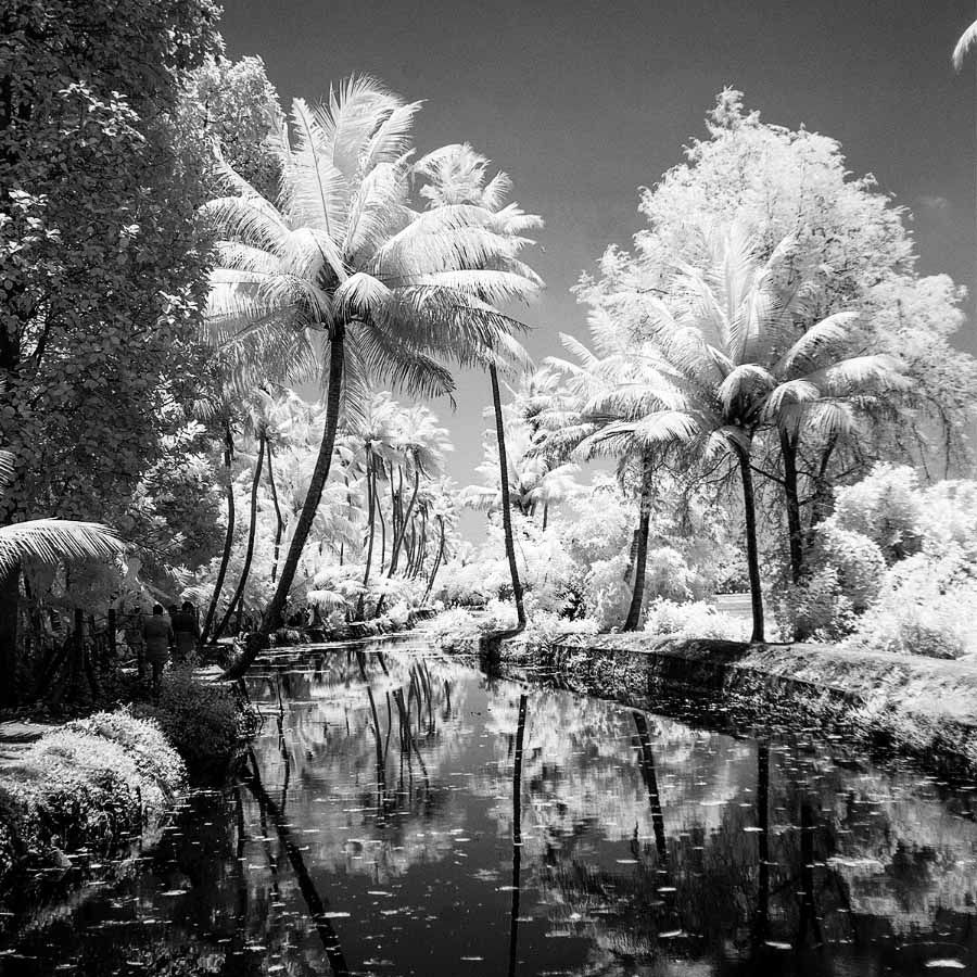 Filme fotográfico 35mm Rollei Infrared ISO 400 Preto e Branco 36 poses