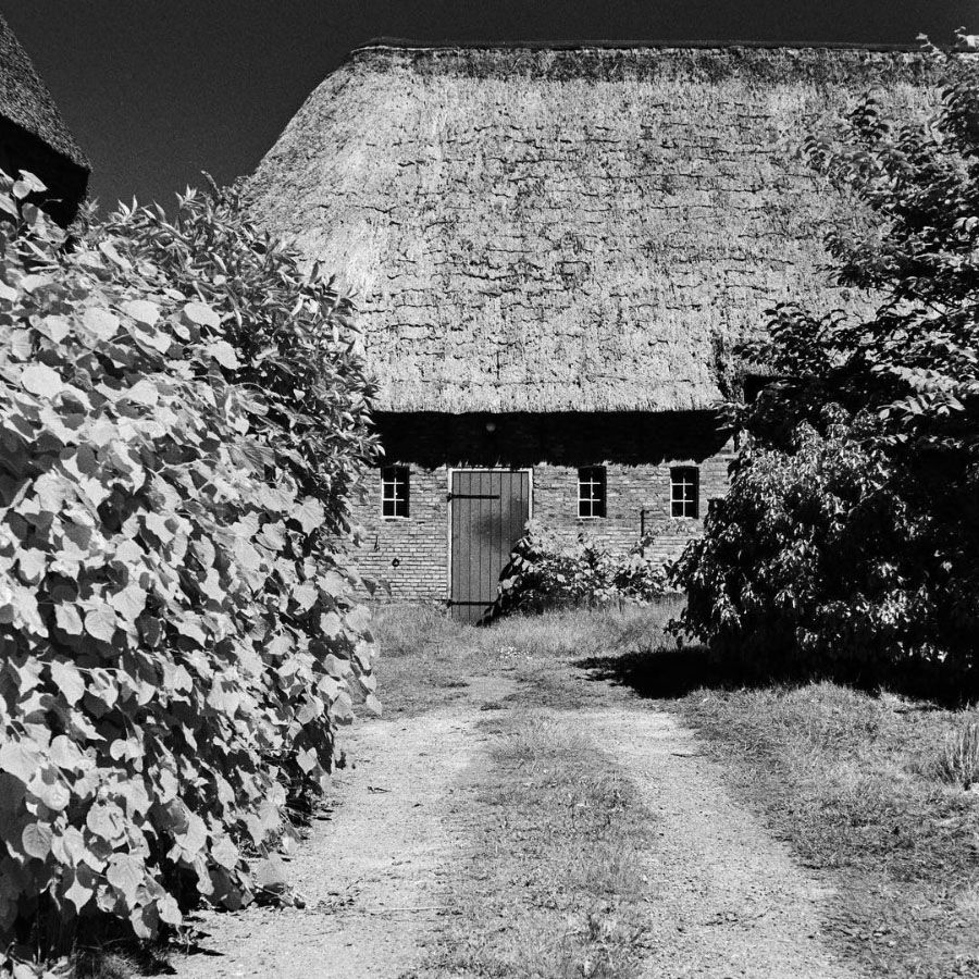 Filme fotográfico 35mm Rollei Infrared ISO 400 Preto e Branco 36 poses
