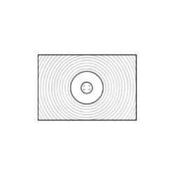 Tela de foco Nikon Tipo B para F4 e F4s